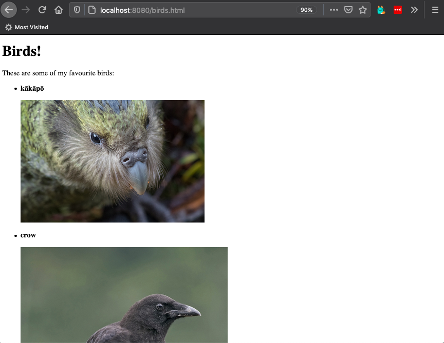 unstyled webpage showing a picture of a kākāpō
and a crow in a list